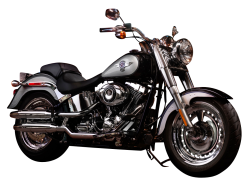 Street Bike - Harley-Davidson Street Bike