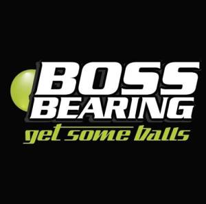 Boss Bearing - Rear Wheel Bearing Seal Kit for Arctic Cat - Image 4