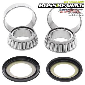 Boss Bearing Steering Stem Bearings and Seals Kit