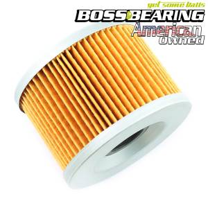 EMGO 10-20300 Oil Filter Element