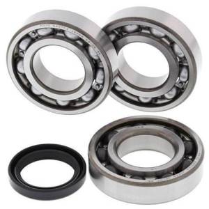 Boss Bearing Main Crank Shaft Bearings and Seal Kit for Polaris